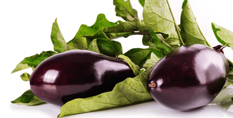 가지 효능 4가지