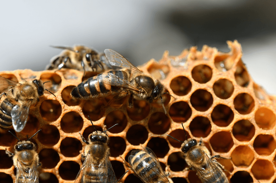 다이어트에 도움을 주는 영양제 TOP3 | 지방 연소 도움 에너지