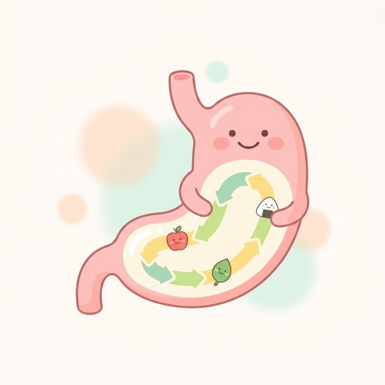 현실적인 극복 후기 만성 소화불량 증상과 위장 영양제